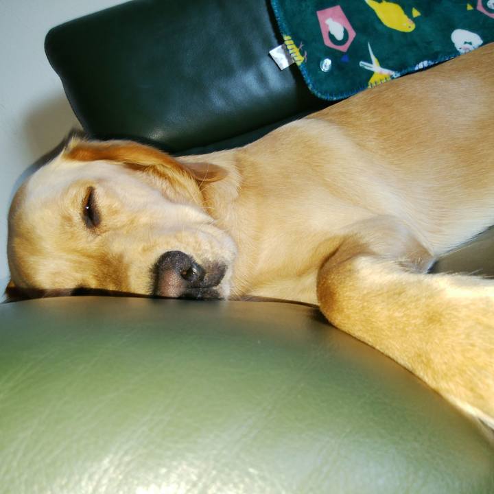 7a8274a3 3d83 4c64 a3be 7be37a38f863 1531517653530