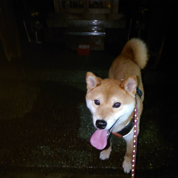 7a827bb6 cc32 4788 a5e4 d935da07464a 1757025300598