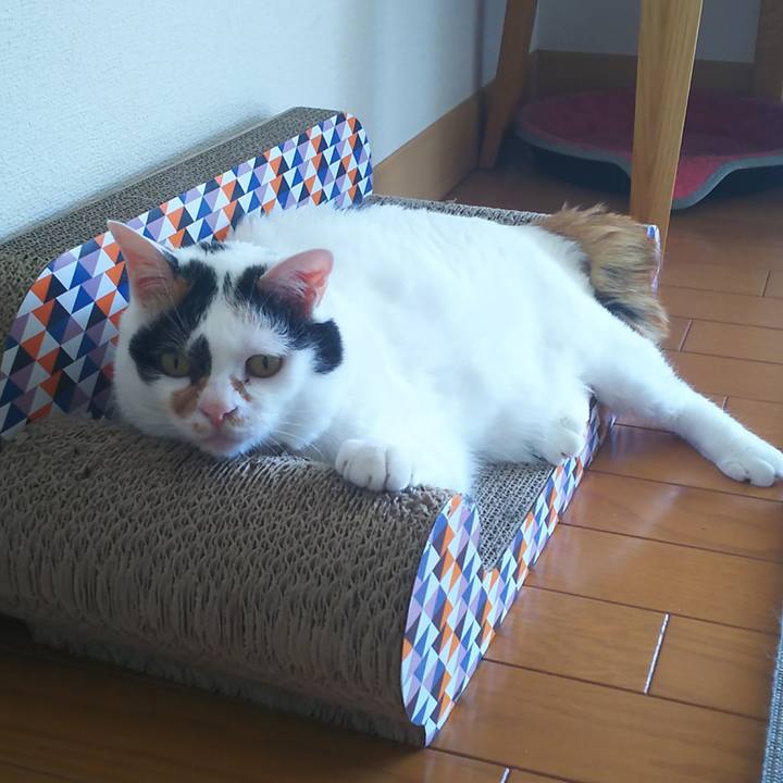 7a82df42 386f 49f1 b699 cdd98690fd57 1559703465231