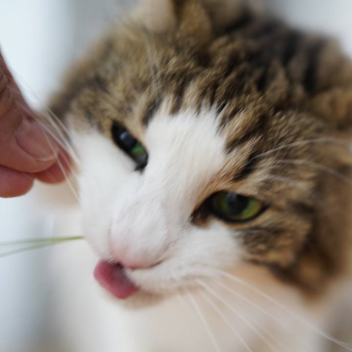 7a82fa01 945e 4a2f b7f7 442278a8d669 1593509012818