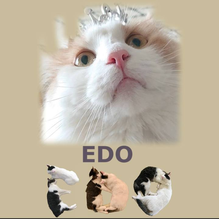 7a82ffe8 faa8 4cc7 a639 722c2ebc05e9 1667479512405