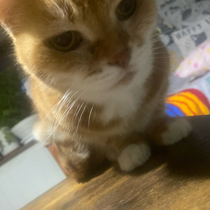 7a8325f9 fa16 4076 9d15 7ca07a879c19 1766092384720