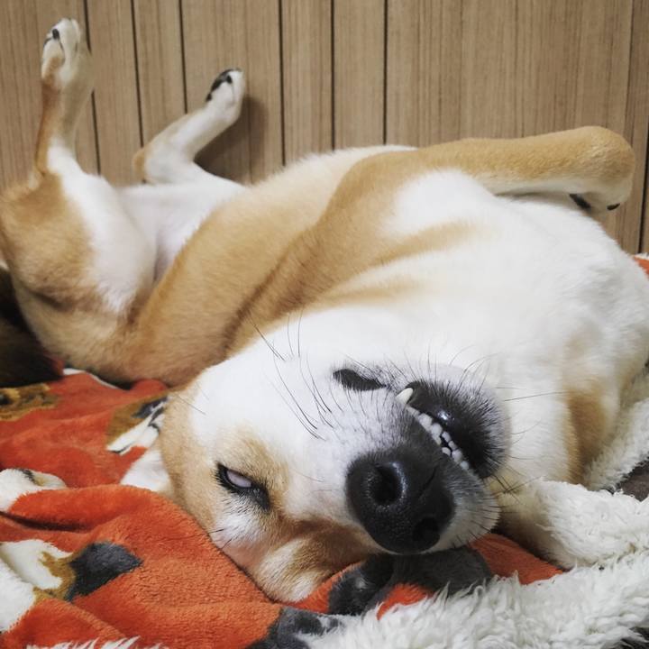 7a83ca79 6890 42f1 b4aa a3e1684444d6 1522194684413