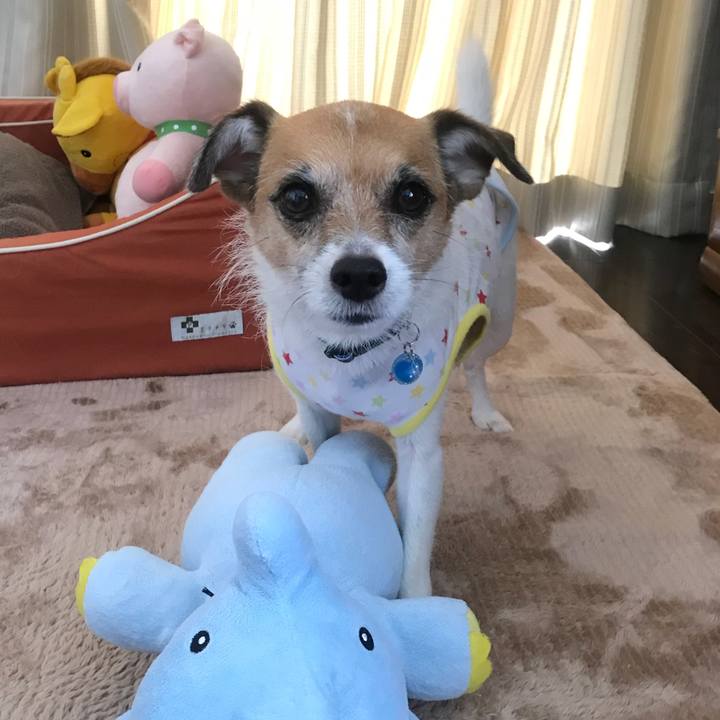 7a8413fa e719 444a aad5 c4efd90a5756 1533451693330