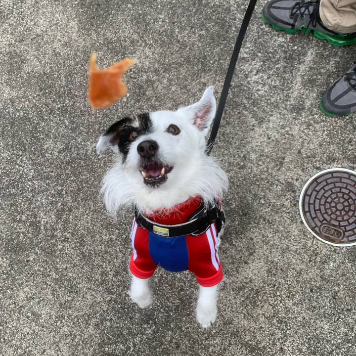 7a841f86 fcce 4a9f 84c7 62761d87d77f 1744501399259