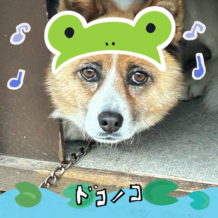 7a84220d 9038 4c15 a8e4 9c03547eea44 1717745677299