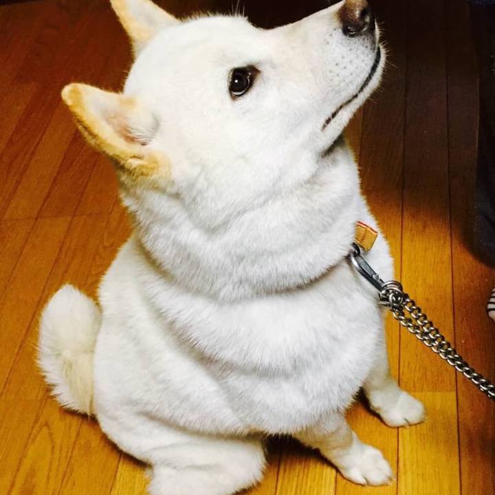 7a843f99 c249 4a48 8de0 9d74fe593d4e 1533286182680