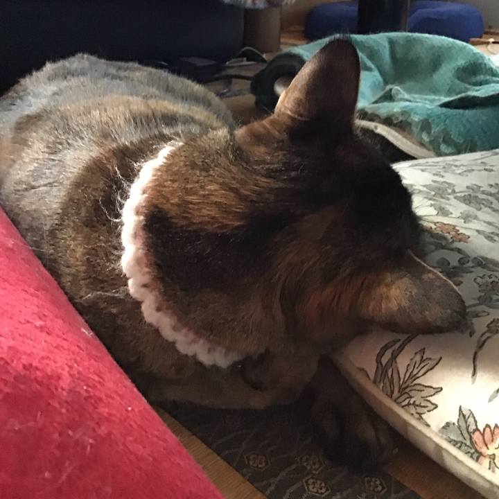 7a848a44 c819 45c9 985b c72ee80b6b65 1754625696791