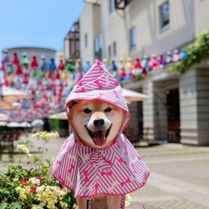 7a849a74 1f92 4373 bd35 aeb0bbb2018e 1751679805345