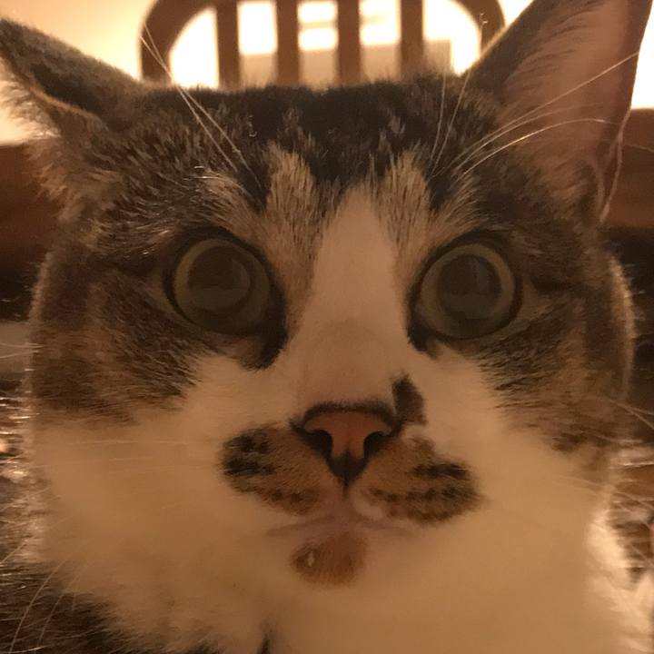 7a84b9e1 cdc3 436a 8644 bd7da316a166 1559472745393