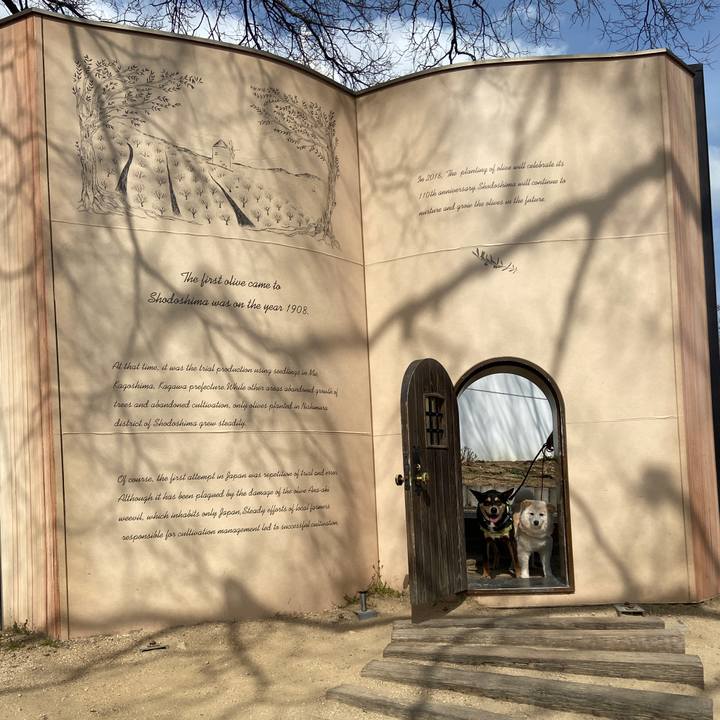 7a84dfce 505a 439a add1 45c97842809e 1678676968574