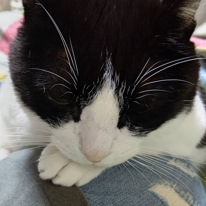 7a84e2b0 616f 497e b816 9675e01bf88f 1635851682513