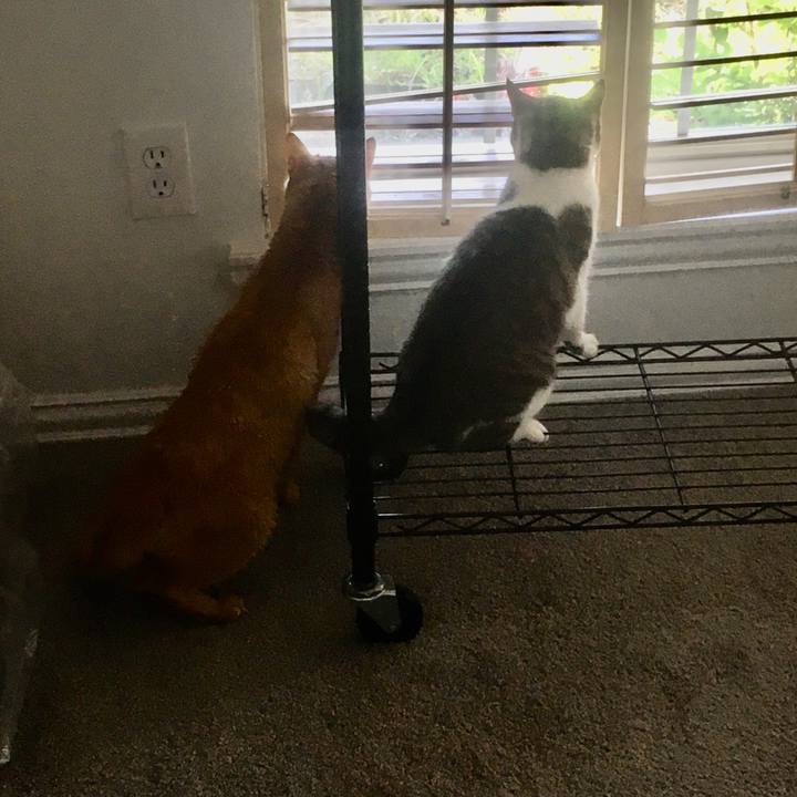 7a84ea85 b87f 4d73 96fa 0fb93a6cc0af 1657845660586