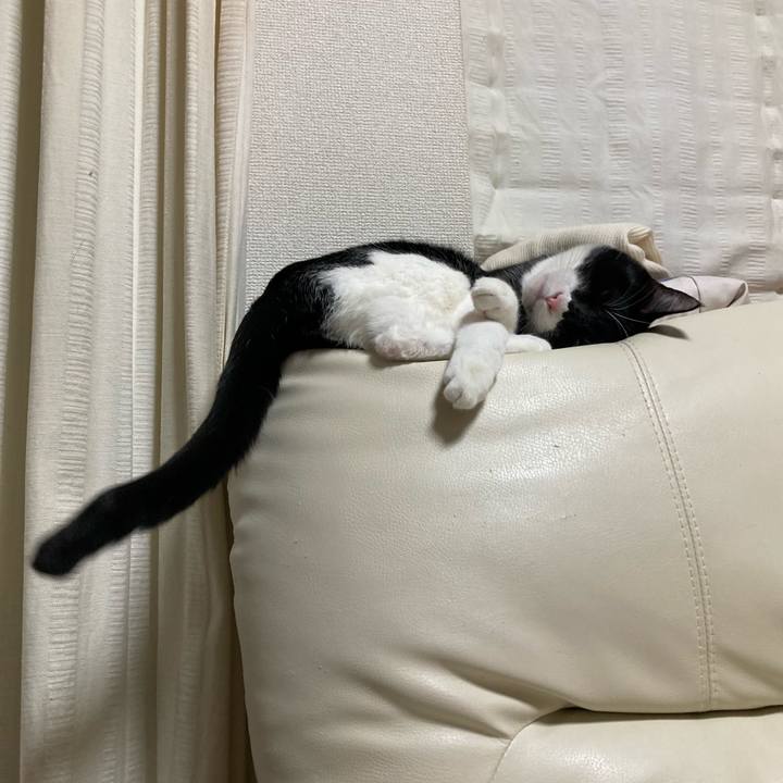 7a84f77d 8a6b 42fe 9839 5d9881bda81c 1673685263521