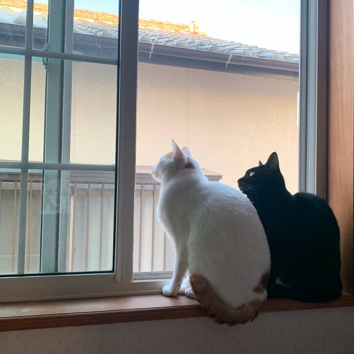 7a85168f 1a45 437c 8015 0db03c4a5a9d 1574502428270