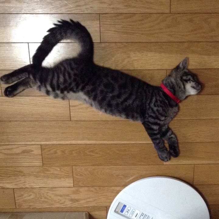 7a853550 e029 4399 9693 11e1278189e9 1531695658249