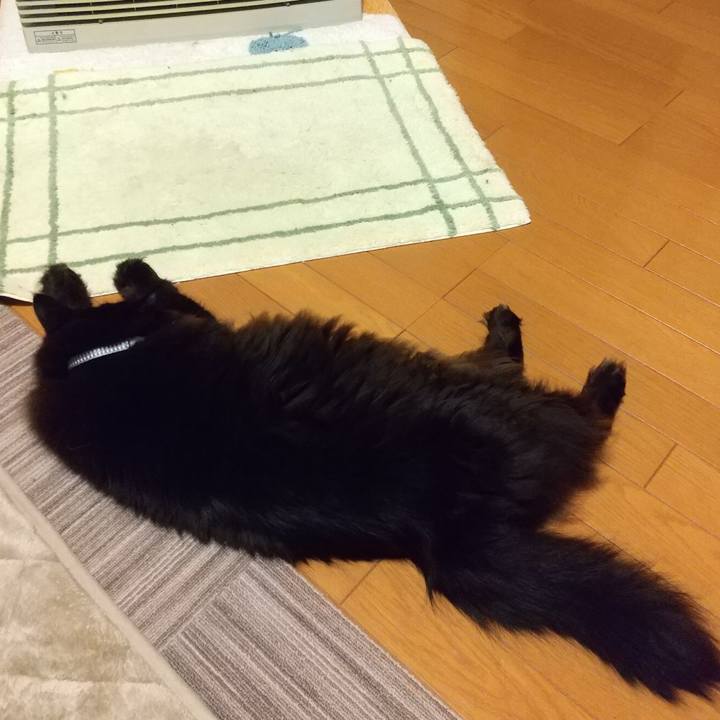 7a85466a 810a 4de0 8c4a 5f89d1471910 1641988855264