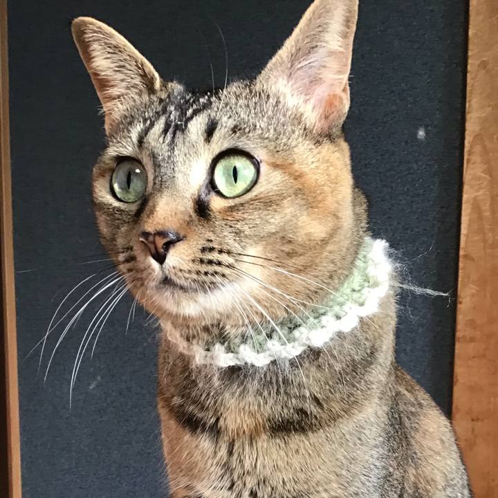 7a854927 a91a 439a 9715 6272a8c871f4 1648073443927