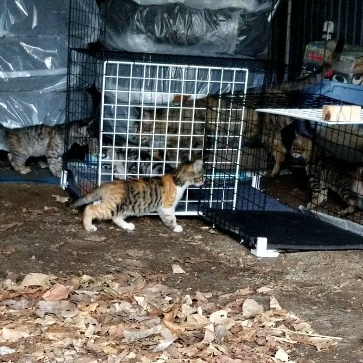 7a85ac2f ef92 4897 a433 56b92db4175f 1691239585928