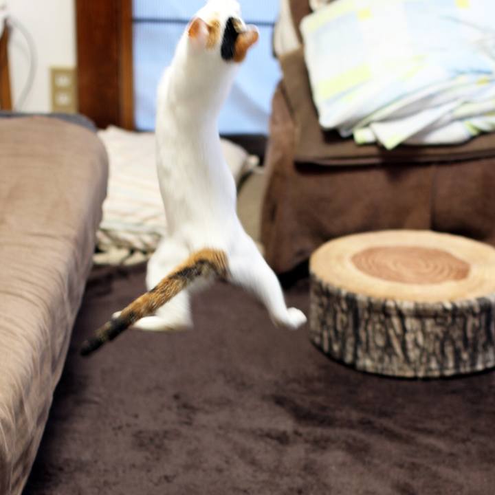 7a85e455 6d92 4360 801c 0cae1fafaa11 1544602477838