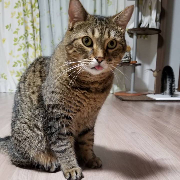 7a85f47a 930e 4ca3 85e8 f54763b03509 1571701677120