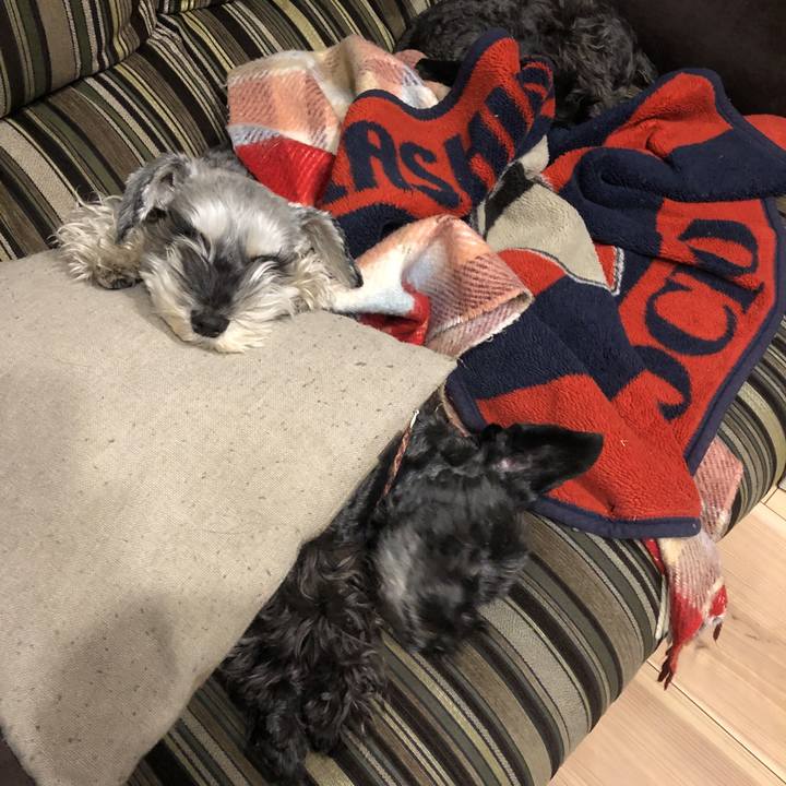 7a85fae0 20a8 4765 b2c8 8ba5ec641c23 1581221226097