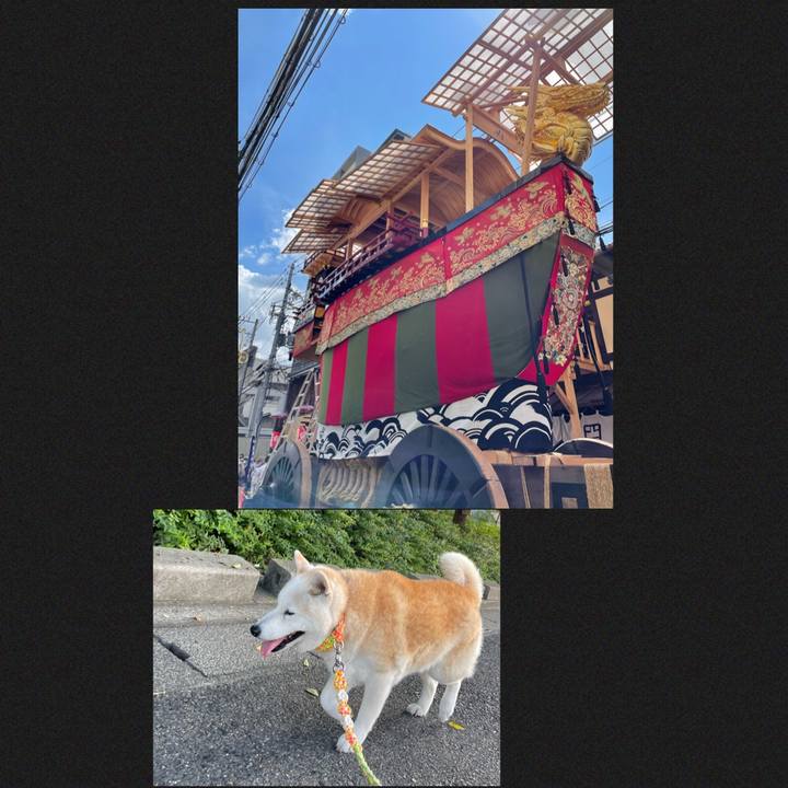 7a862ce5 4bcf 4dda b51b 2b65592ceffa 1658801427122