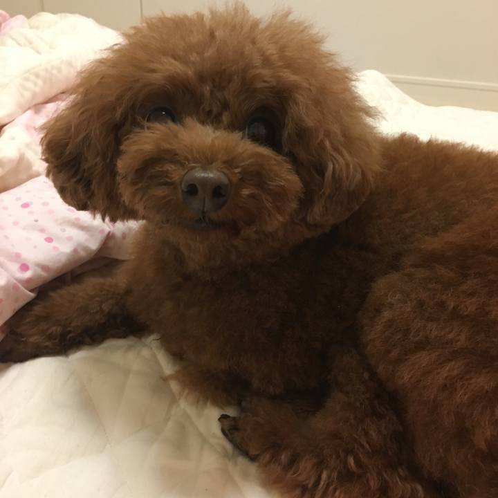 7a869b49 aa3d 4afa bbfc e35b9ba5792e 1532607340868