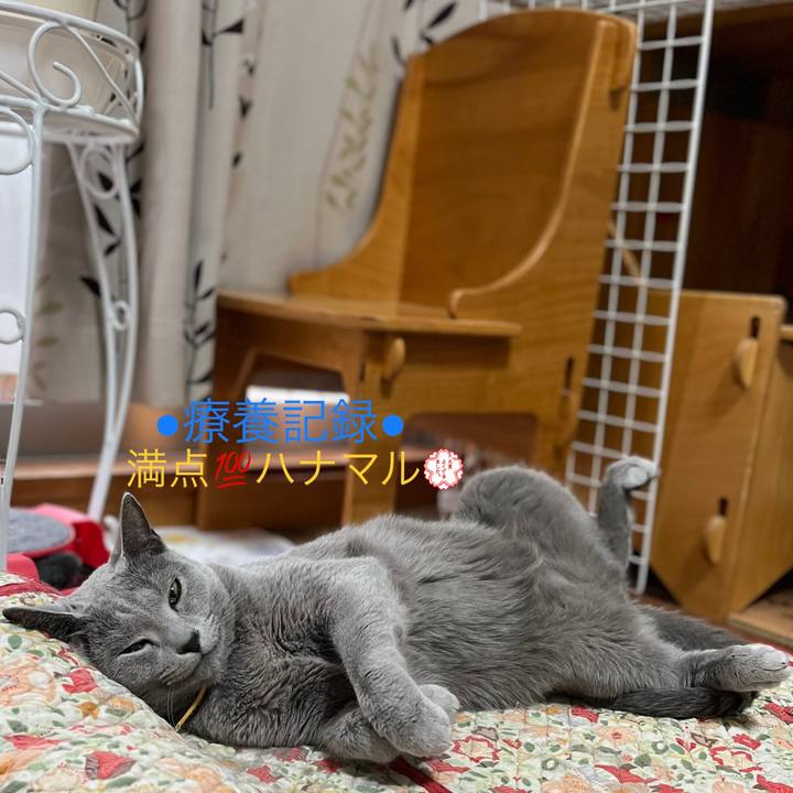 7a86c2fc 1fb7 4eaa aa03 eaa194a003d8 1657971744254