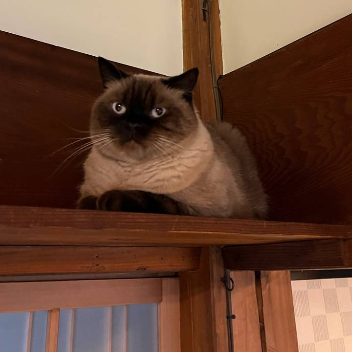 7a86d090 f77b 48e4 9f75 b1325bf730fe 1696720980212