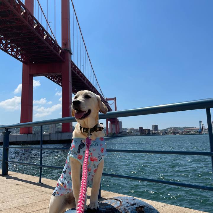 7a86d38f e040 4890 8e1b be99b08aeeaa 1621741939911