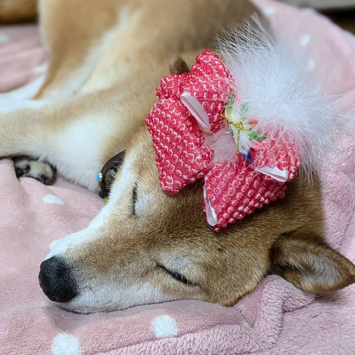 7a86d9b8 6b3c 4e4f 92e6 0f720ef755ea 1721346458646