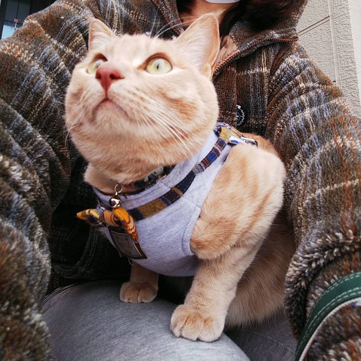 7a86fa0f e9a4 48d3 9f00 0186e31ff0f6 1580603244192