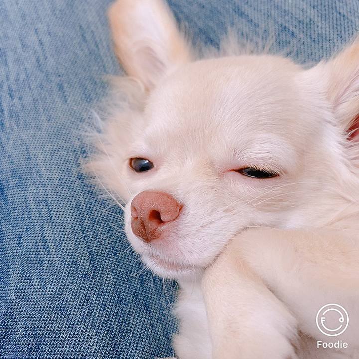 7a8713db 9666 45a5 bb0a ea18fb178922 1600238091401