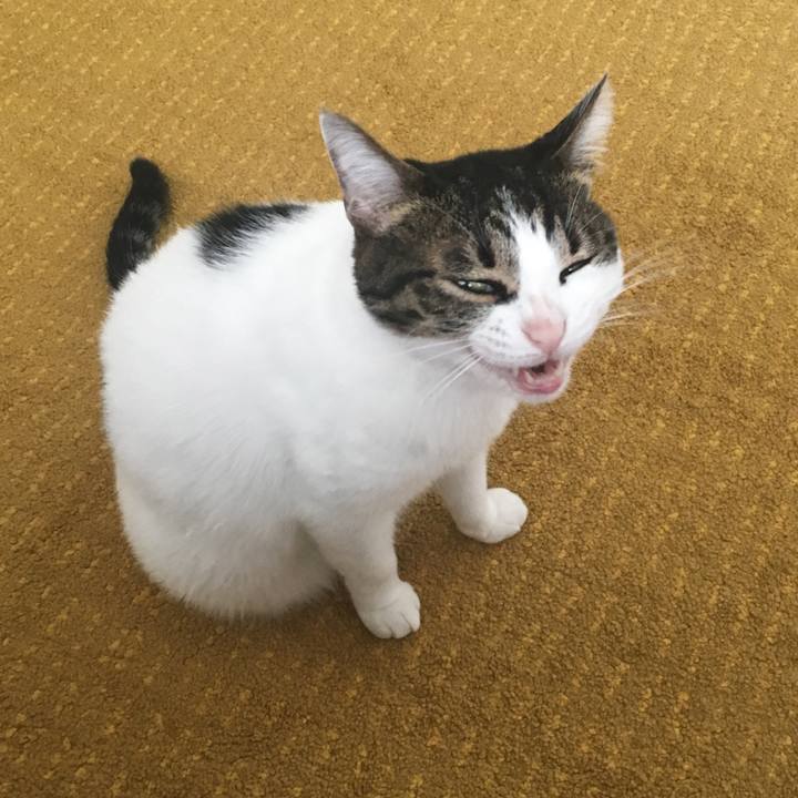 7a876044 7995 4d43 8df5 598c9493e4fd 1587547540177