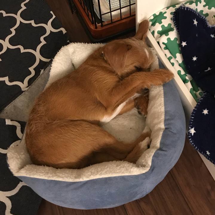 7a87667d 097c 4ee0 8420 30f11ae0a51f 1525181907106