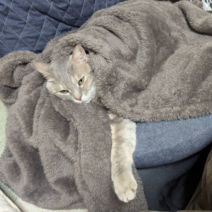 7a879fa3 8036 49d5 9fed 176c778ea971 1734678089781