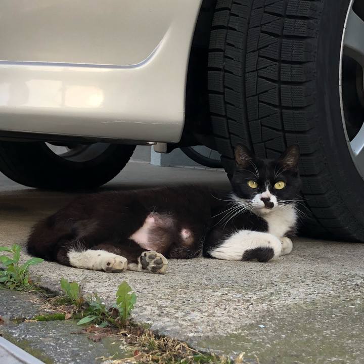 7a87e28a fc07 4681 9da9 172f3038f16b 1528549981665