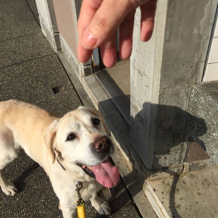 7a880484 0366 4cee a076 77ff4d274693 1522741077633