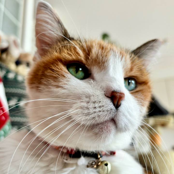 7a880706 69b7 460c a169 79fea29cf26f 1705715845603