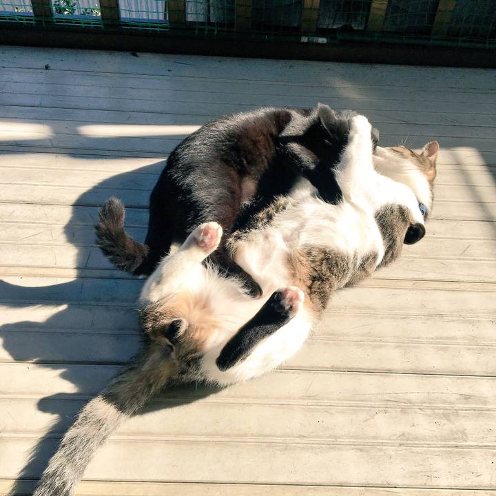 7a882d19 cc42 47c2 8274 26cbdd326a4a 1509426736760