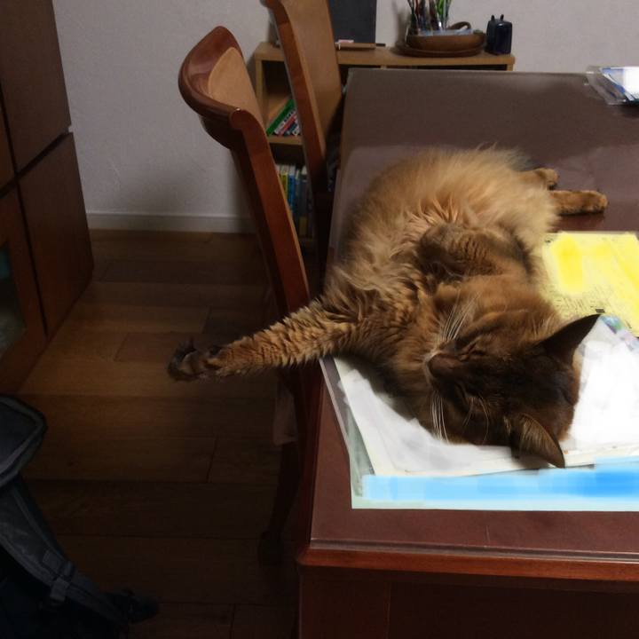 7a88471f e2e6 4f7c a24f 47e6708d9064 1625093078578