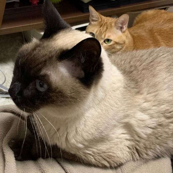 7a885849 1a59 4735 9a6f 5c1322ea692f 1613339664732