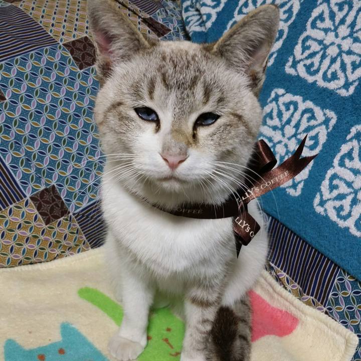 7a8885a4 088f 494d b989 59184868f7d2 1515062663205