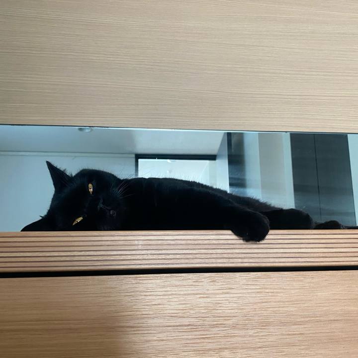 7a88bbee 9c56 40c1 96f8 934e6916fc00 1753092750288