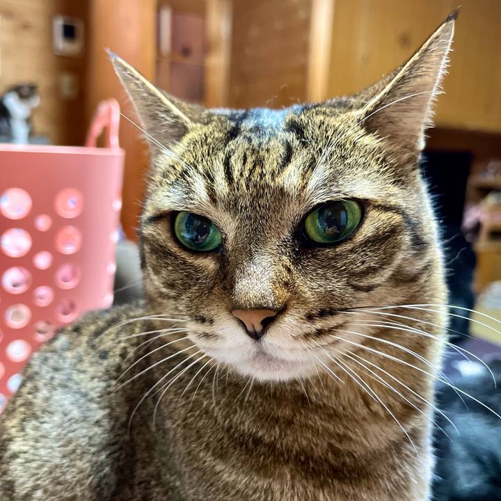 7a88c041 6953 4d0b 8b63 009dae1f00b7 1690032248507