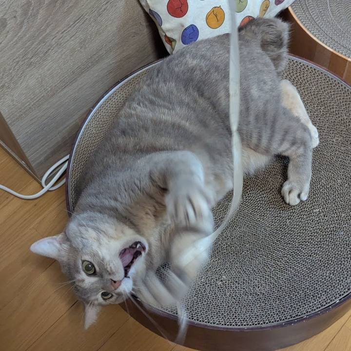 7a88f641 41b6 40b2 b90c cb5190dcb842 1771148883495