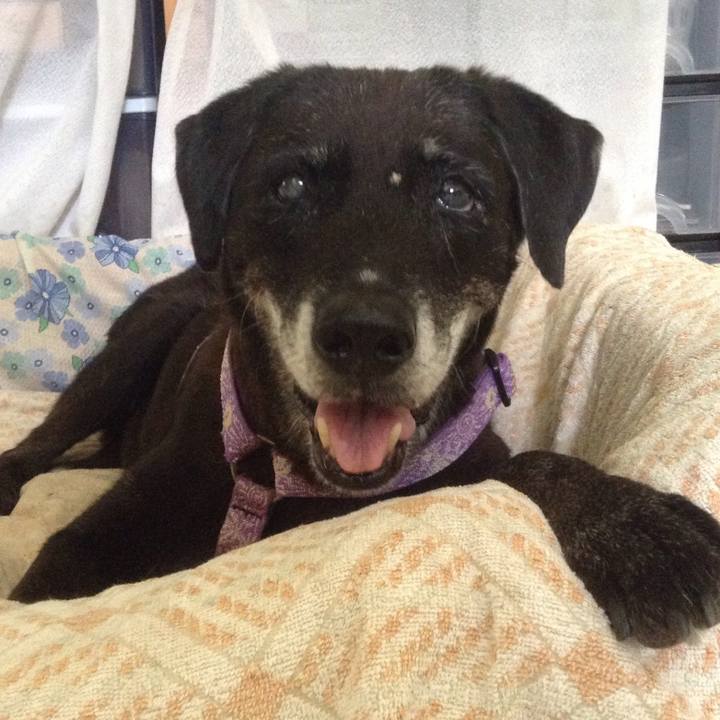 7a8900f6 35ac 4416 897f 169608182ca4 1547734005650