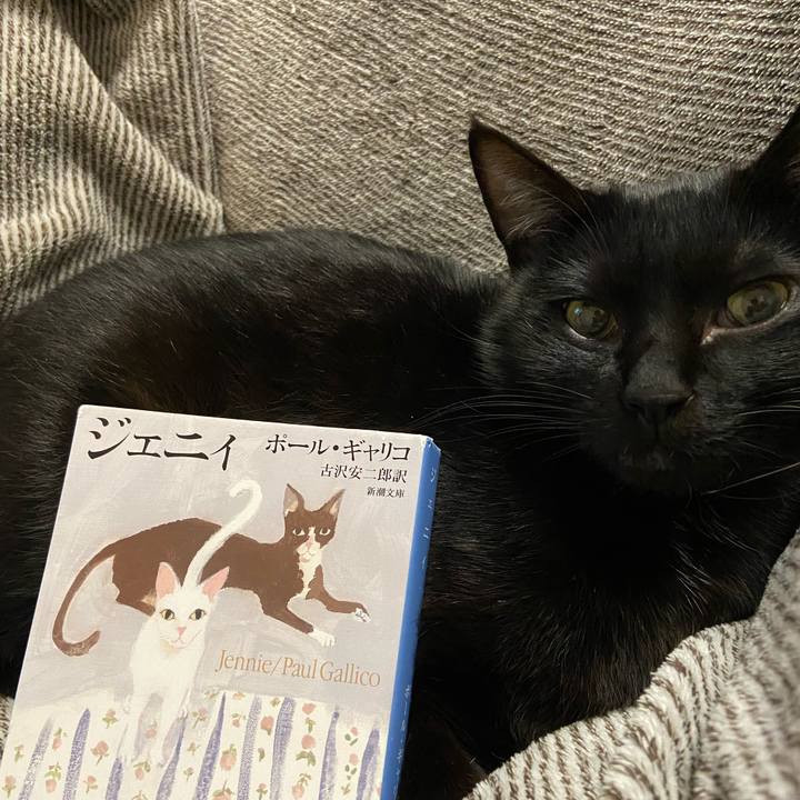 7a890b50 91b5 41d3 91c4 31bfa5cacd1b 1641466015388