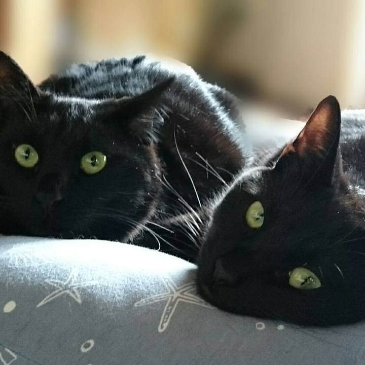 7a89175c 6495 4a2c bb80 9cf1c20406e4 1525334843217